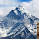 Image for article titled Himalayan Goat Dies Following Failed Everest Climb